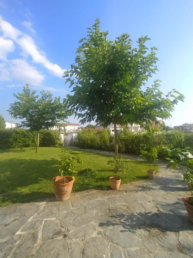 B&B Villa La Bouganville Camaiore Ngoại thất bức ảnh