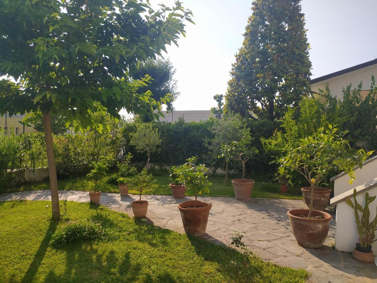 B&B Villa La Bouganville Camaiore Ngoại thất bức ảnh