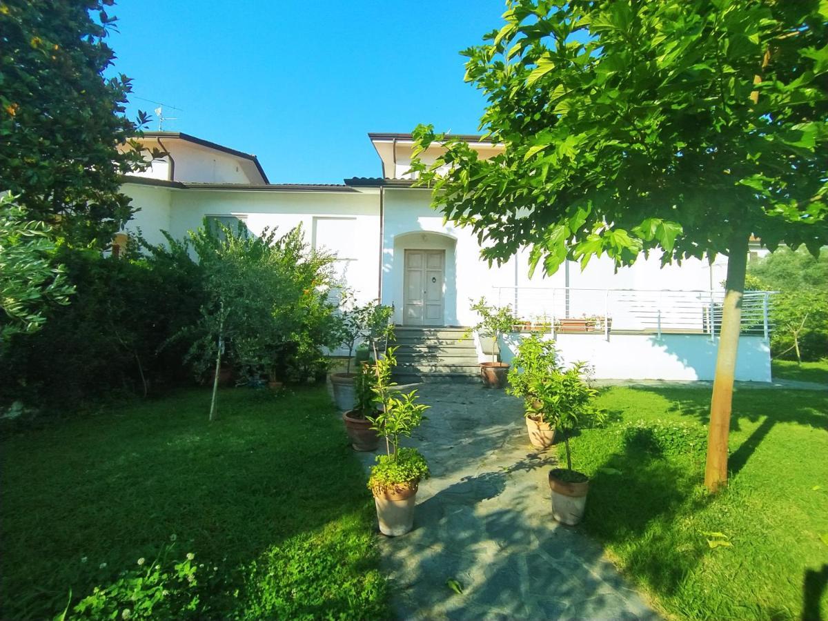 B&B Villa La Bouganville Camaiore Ngoại thất bức ảnh