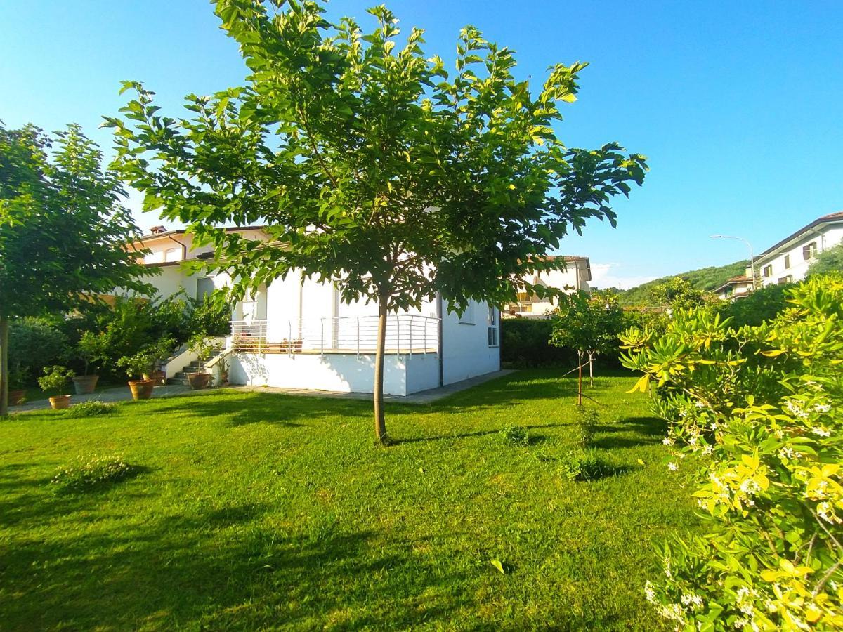 B&B Villa La Bouganville Camaiore Ngoại thất bức ảnh