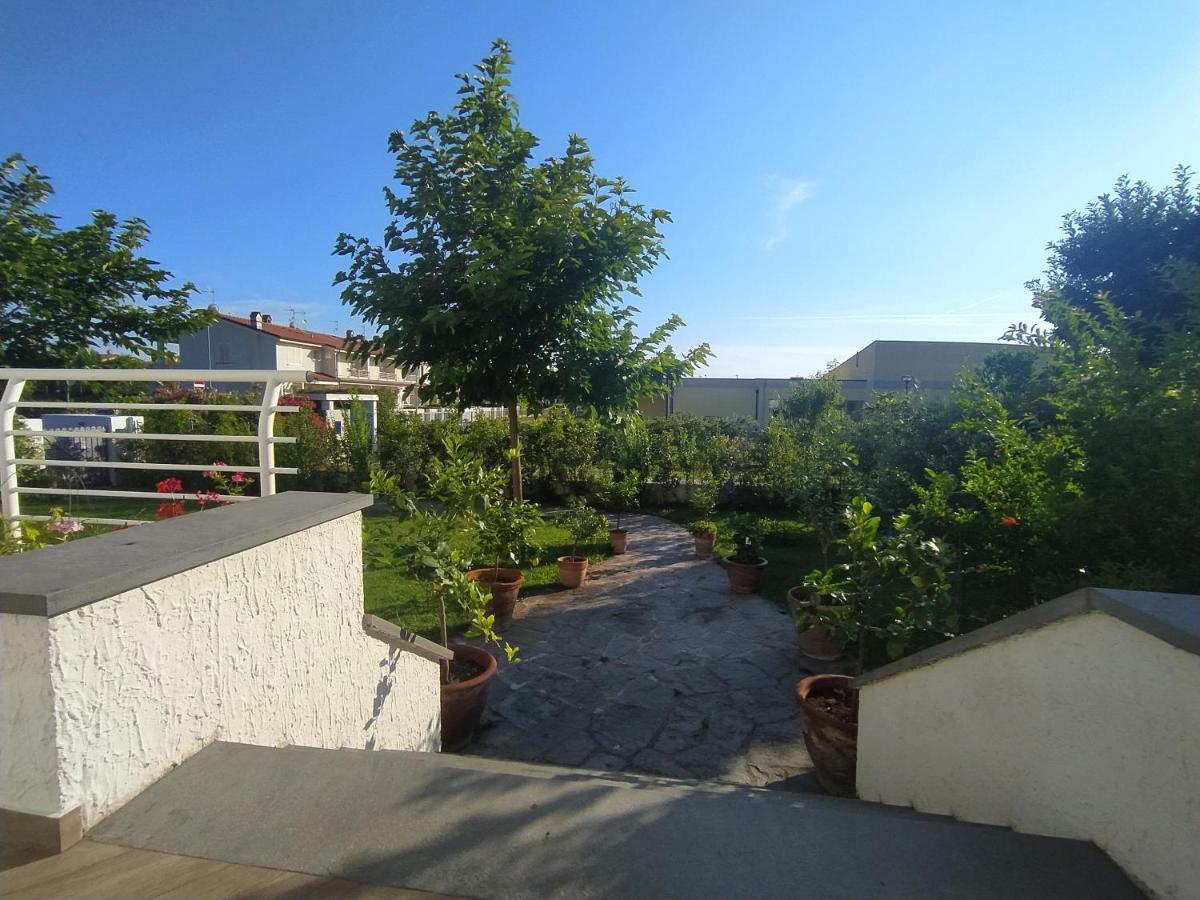 B&B Villa La Bouganville Camaiore Ngoại thất bức ảnh