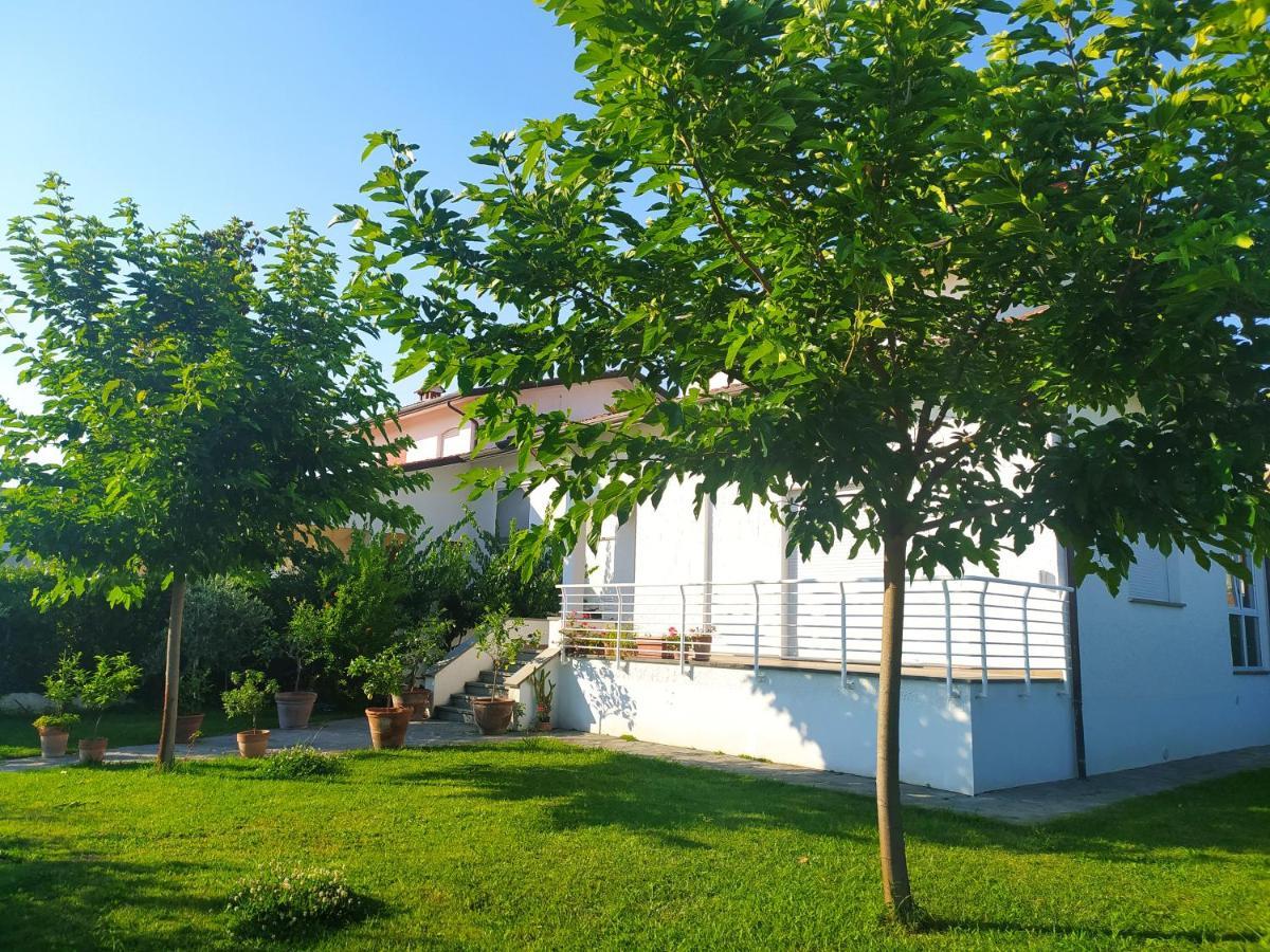 B&B Villa La Bouganville Camaiore Ngoại thất bức ảnh